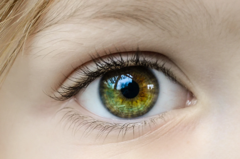 窥探未来！眼部扫描可提前七年预测帕金森病风险