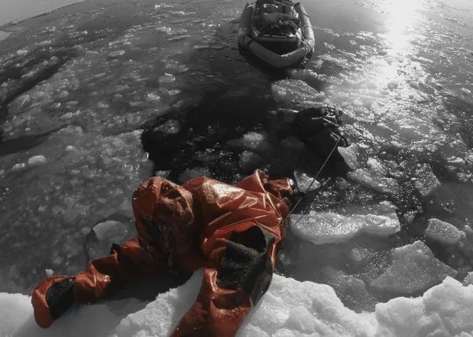 哈罗校友|第一个徒步穿越北极的“环境英雄”