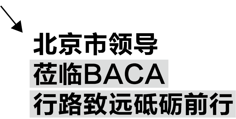BACA艺术教育，入读伦艺的保障｜获得伦艺校长、圣马丁系主任认可！北京市领导多次莅临指导！