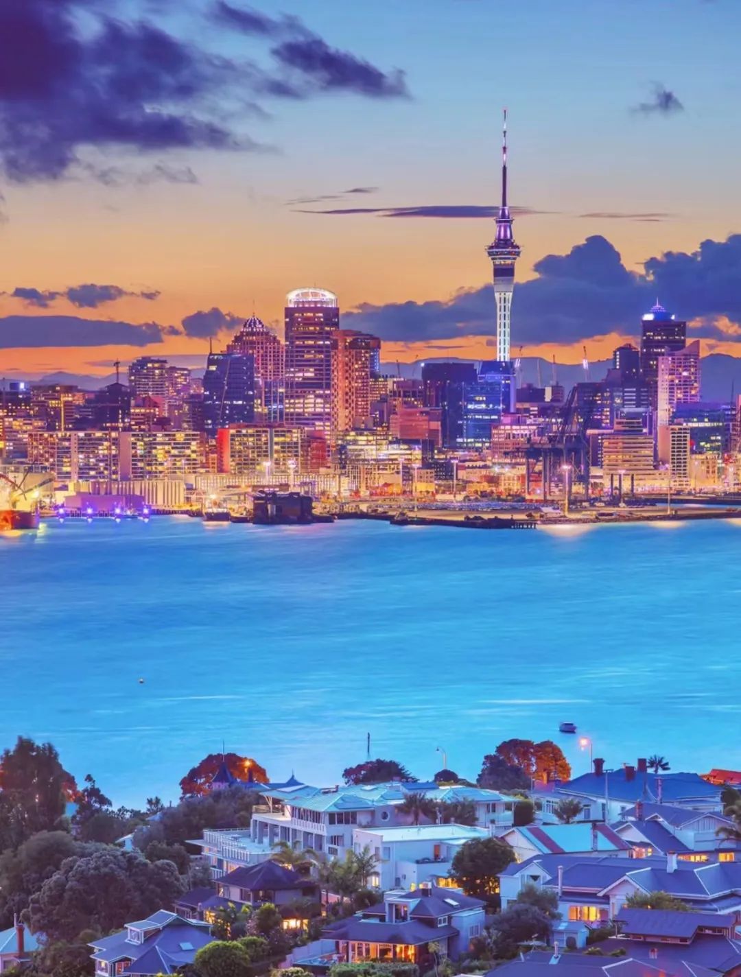 文化交流｜新西兰银蕨计划2024寒假留学体验营，预定留学之旅！