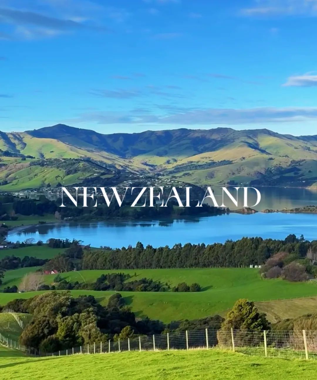 文化交流｜新西兰银蕨计划2024寒假留学体验营，预定留学之旅！