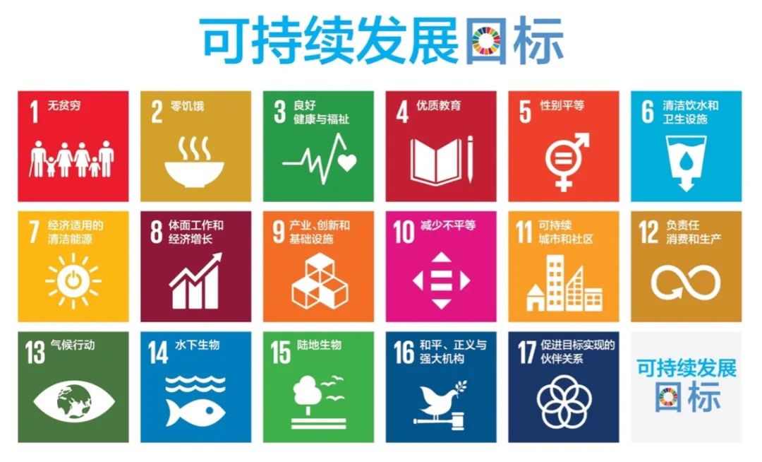 清澜学子在全球活动中崭露头角：联合国可持续发展目标在我们手中