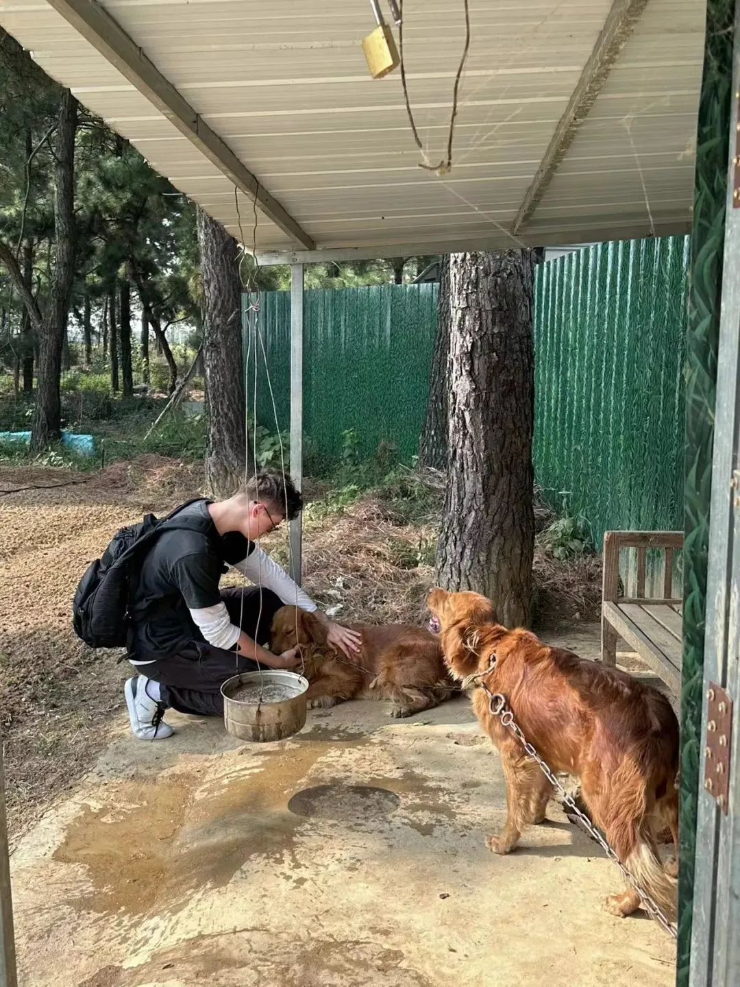 CISH Students Bring Joy&Hope to Anhui Hefei Fengle Animal Rescue