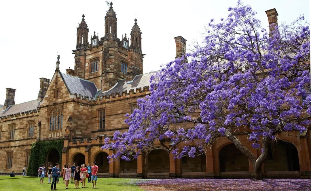 录取“开门红”！世界名校墨尔本大学、悉尼大学率先向深国预抛出橄榄枝