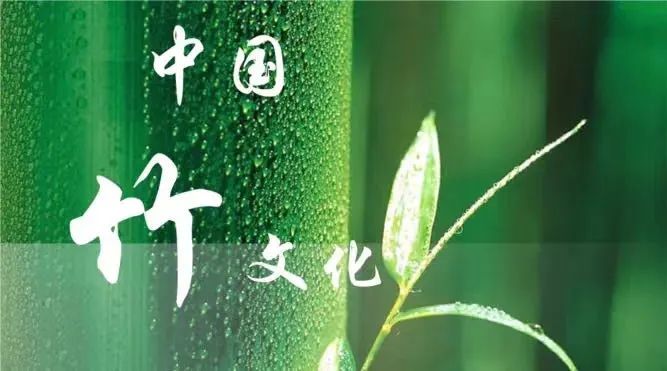 【中小学部】知“竹”常乐 | 记三年级竹文化探究周