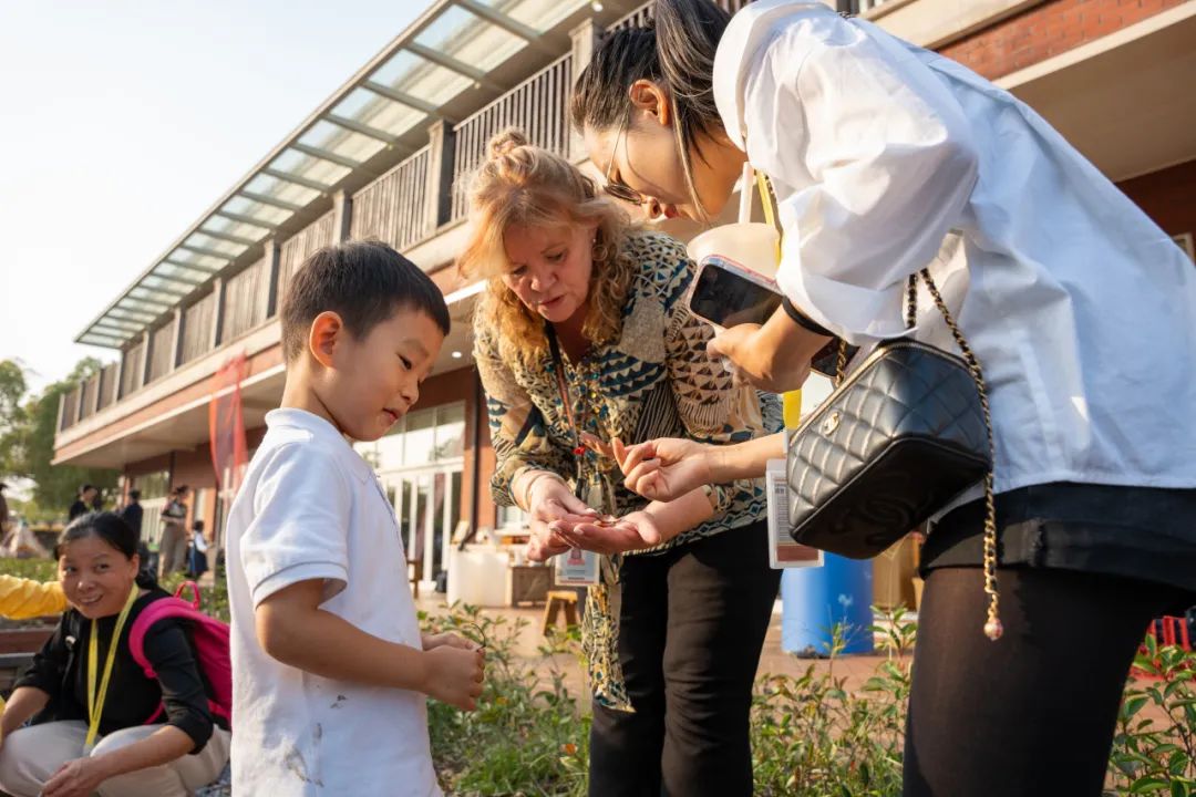 阳光下的启蒙：谈杭州惠立幼儿园的户外学习