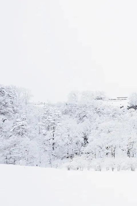 天地初寒小雪至，冬韵未满万物藏——桐乡半岛幼儿园节气系列之小雪主题活动