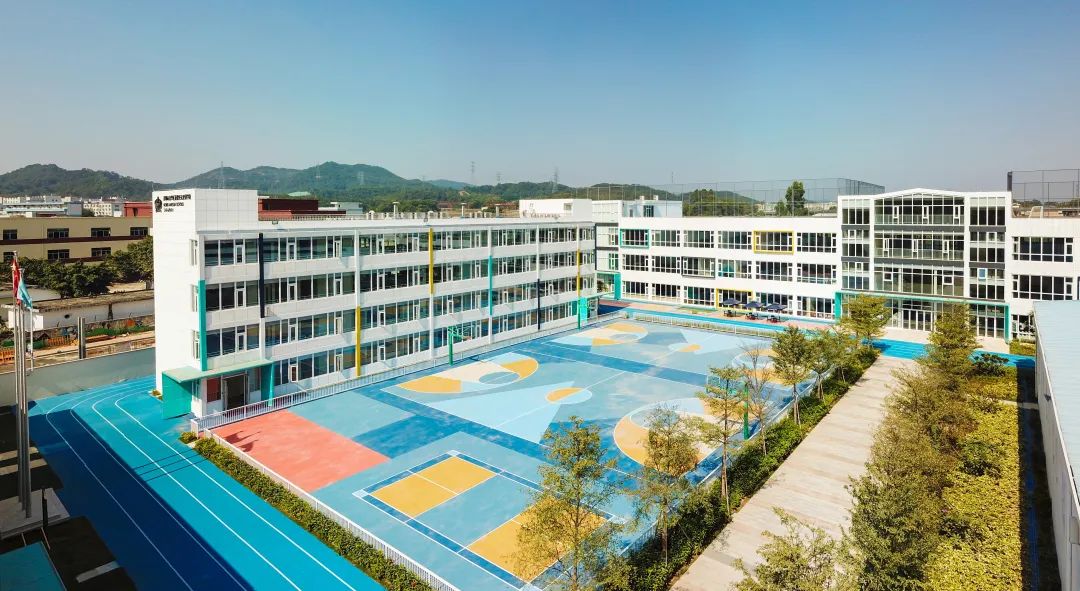 无敌“凡尔赛”！杨威360°秀儿子的国际学校，网友：想要同款！