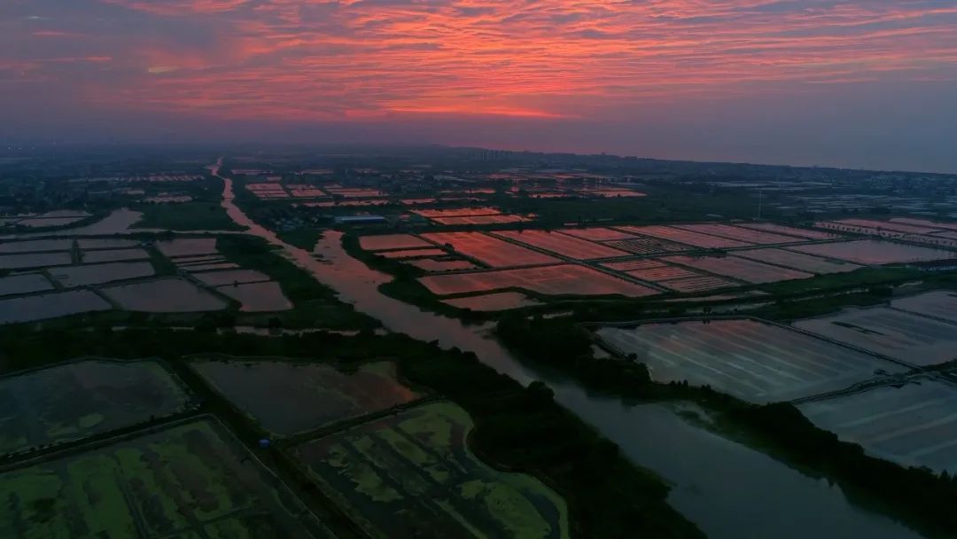 为家乡代言丨探寻世界灌溉工程遗产——太湖溇港