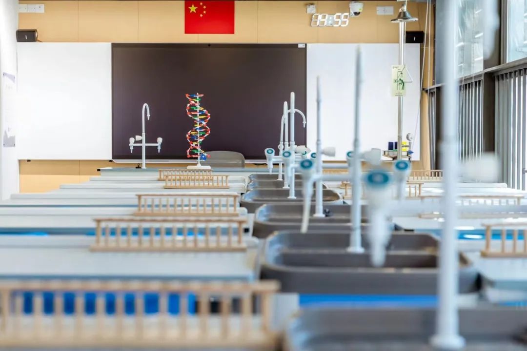 1月6日！深圳梅沙双语学校校园开放日+未来菁英训练营报名开启