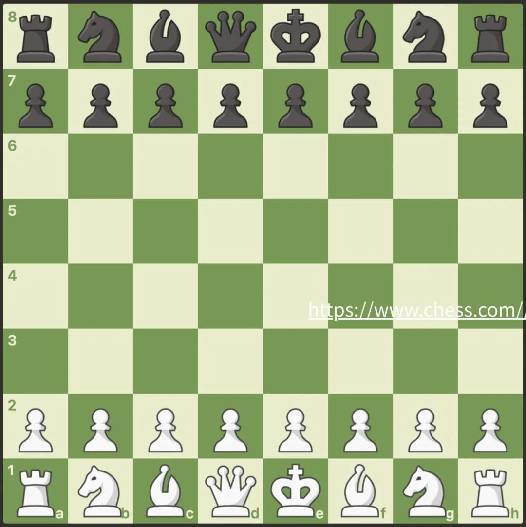 Unlocking Minds and Mastering Moves: ISNS Chess Club|国际象棋俱乐部等你来！