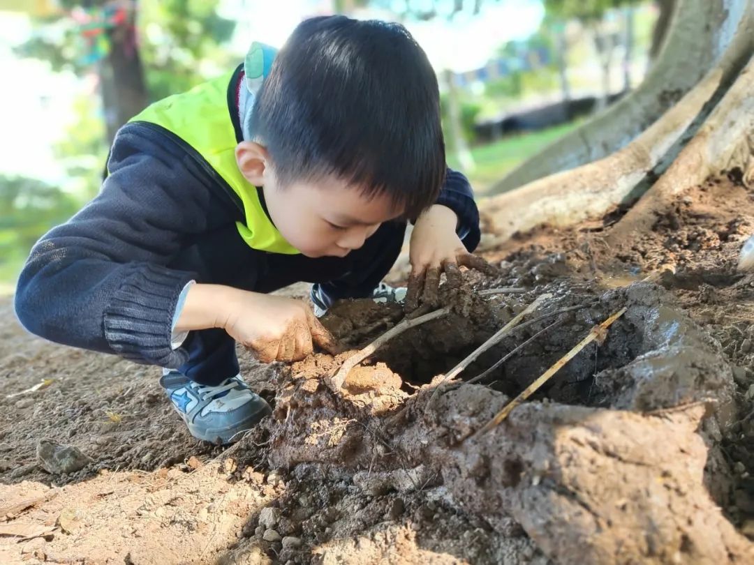 探秘自然  因“泥”精彩 | 盛兴幼儿园自然主题探索活动回顾
