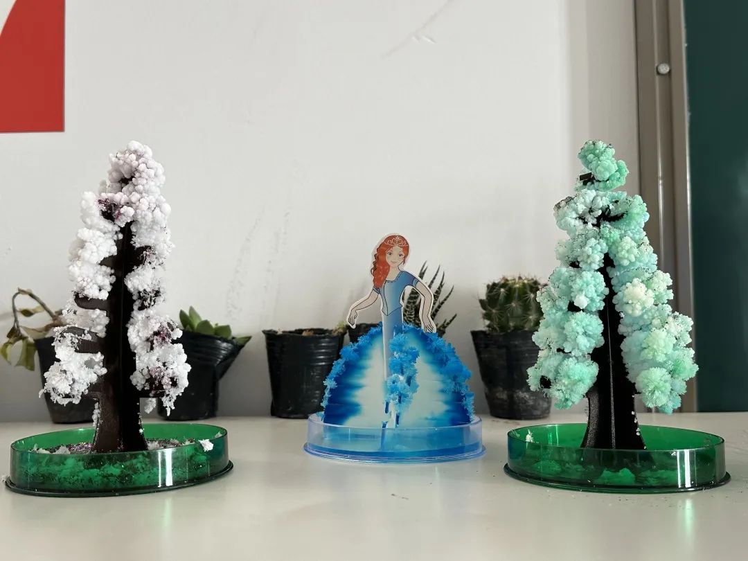启迪课堂 | Grow a Magic Crystal Christmas Tree
