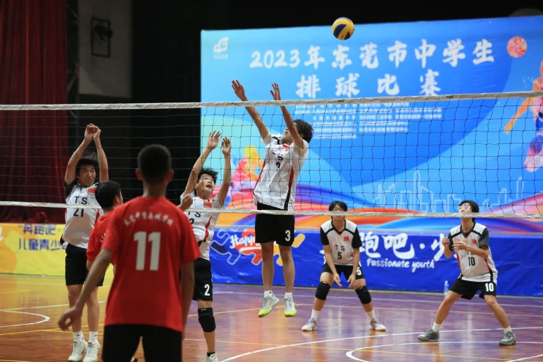 喜报｜清澜山学校夺得东莞市中学生排球联赛第三名