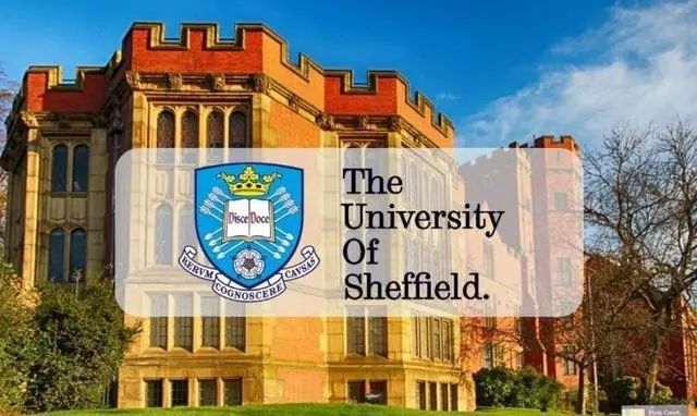 对话名校 | 英国谢菲尔德大学来访交流，解锁世界一流大学申请秘诀