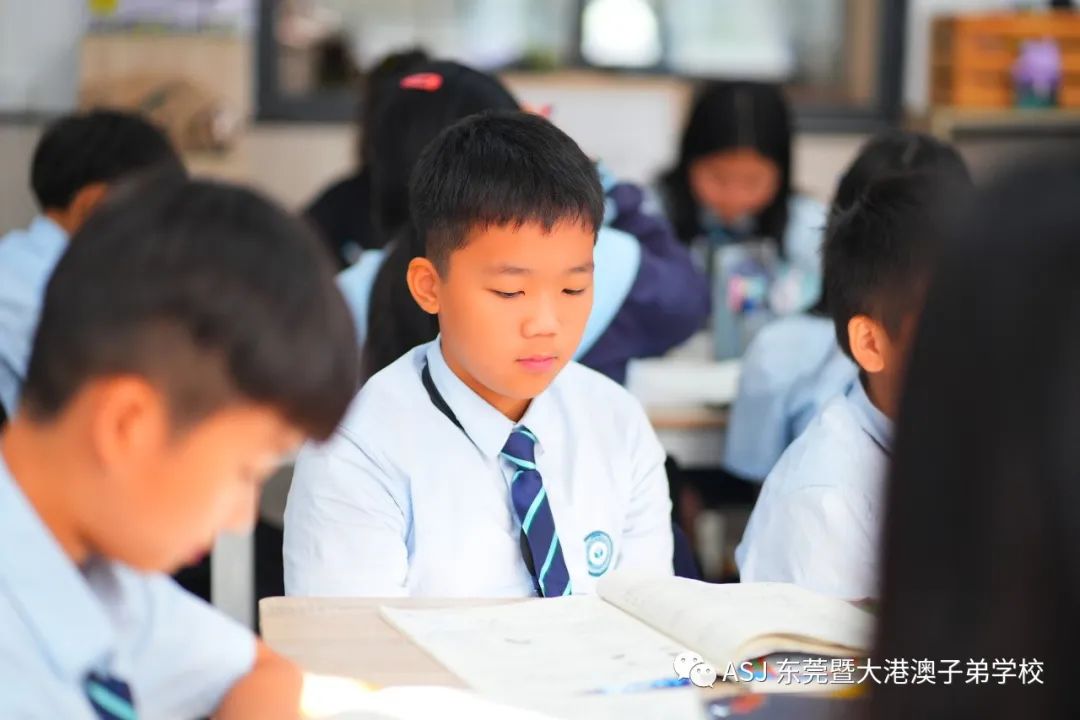 Dec 11-15 Primary Years Science in Action｜小学部科学之旅