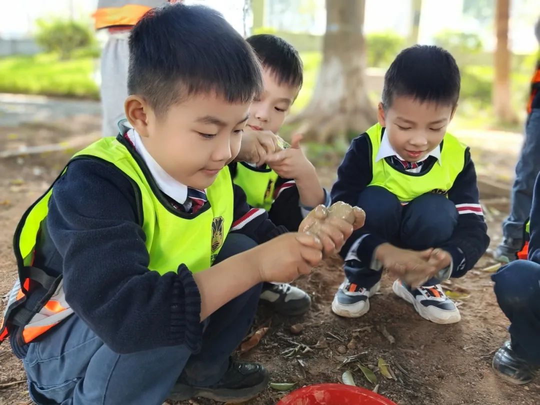 探秘自然  因“泥”精彩 | 盛兴幼儿园自然主题探索活动回顾