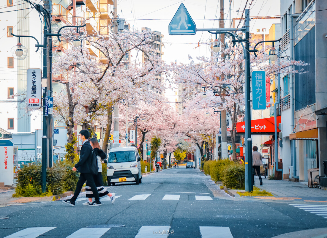 留学资讯 | 去日本留学都要做哪些准备？清单已经帮你准备好了！