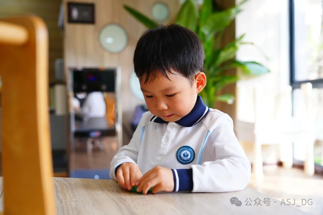 Learning with Natural Materials｜探索天然材料