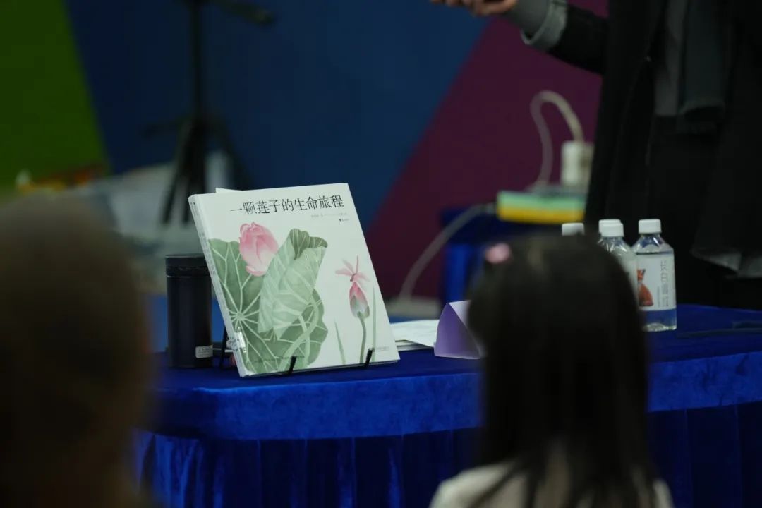 作家进校园 | 中国画科普绘本画者花青与《一颗莲子的生命旅程》