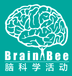 国际竞赛系列 | 2024年Brain Bee脑科学活动报名截止！参赛的同学不能错过这篇！