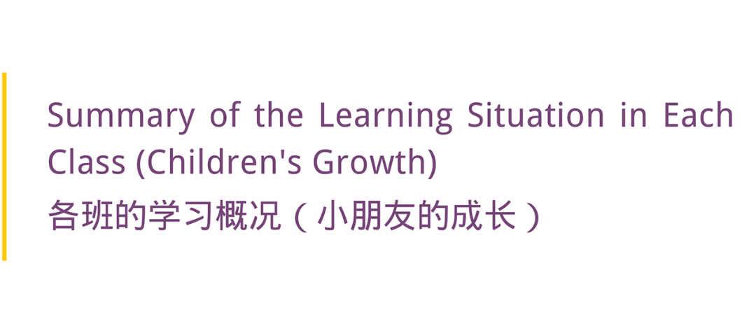 Review of Learning in the First Semester | 学习回顾：五彩斑斓的成长脚印