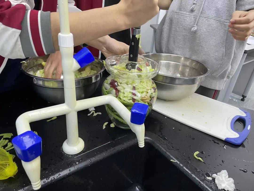 教学观察｜生物课实验：利用乳酸菌制作泡菜