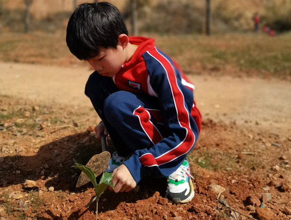 【中小学部】“植”此新绿  为绿充“植” —— 植树节系列活动