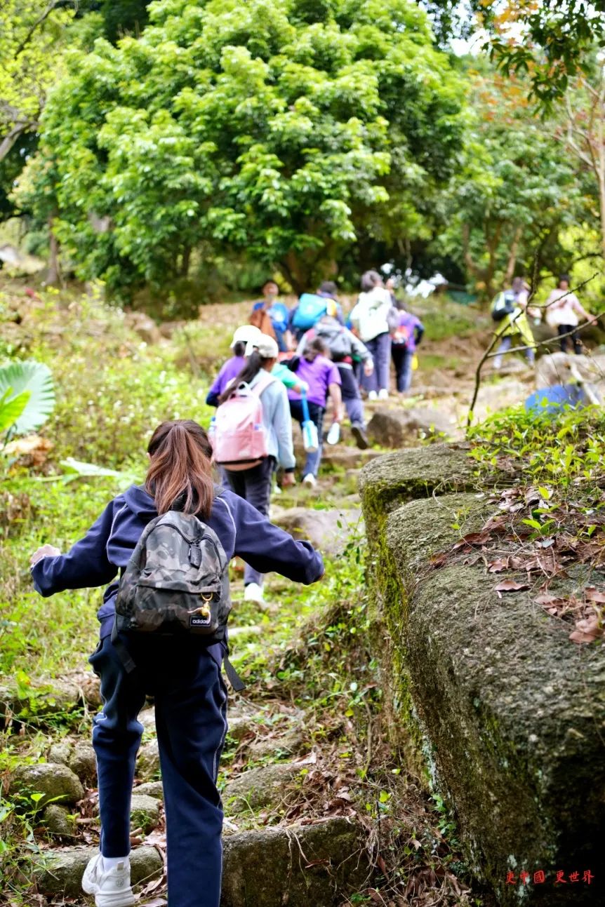 Risk-Takers 徒步挑战｜I-EP小学的森林冒险之旅