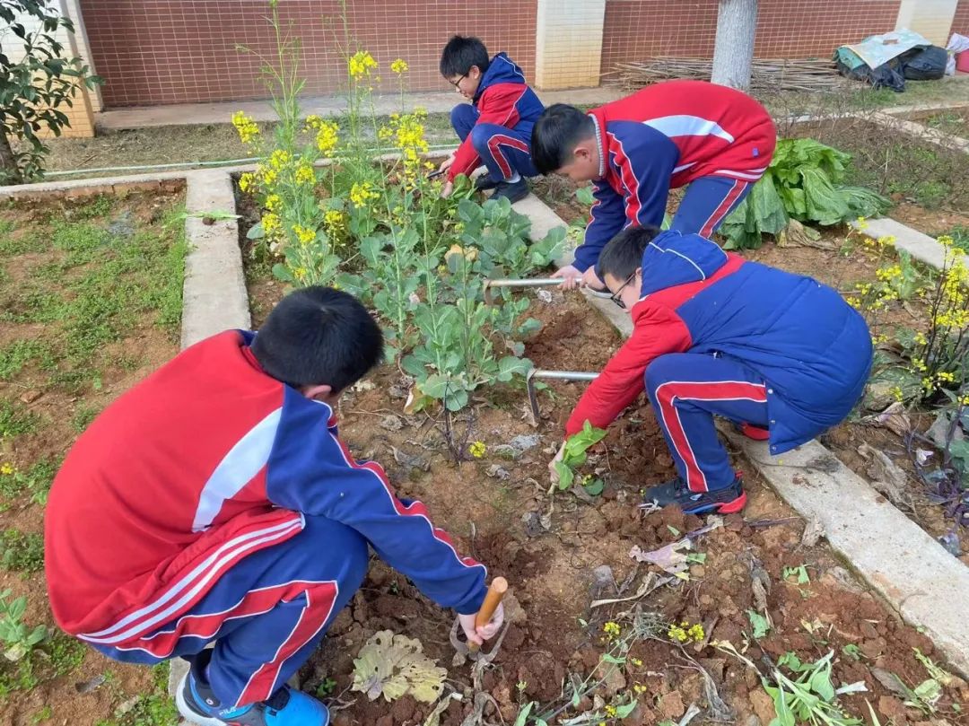 【中小学部】“植”此新绿  为绿充“植” —— 植树节系列活动
