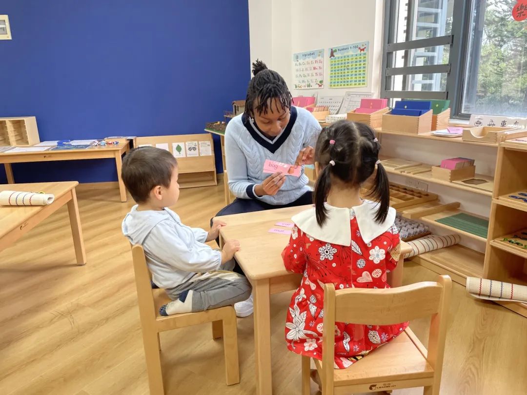 SAIS IB-Montessori Combined Program ｜探究式学习：让孩子保持学习热情