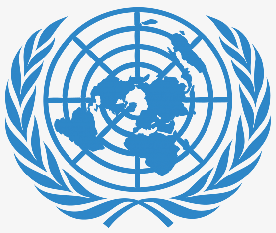 SUIS活动|第十届协和跨校区模拟联合国大会