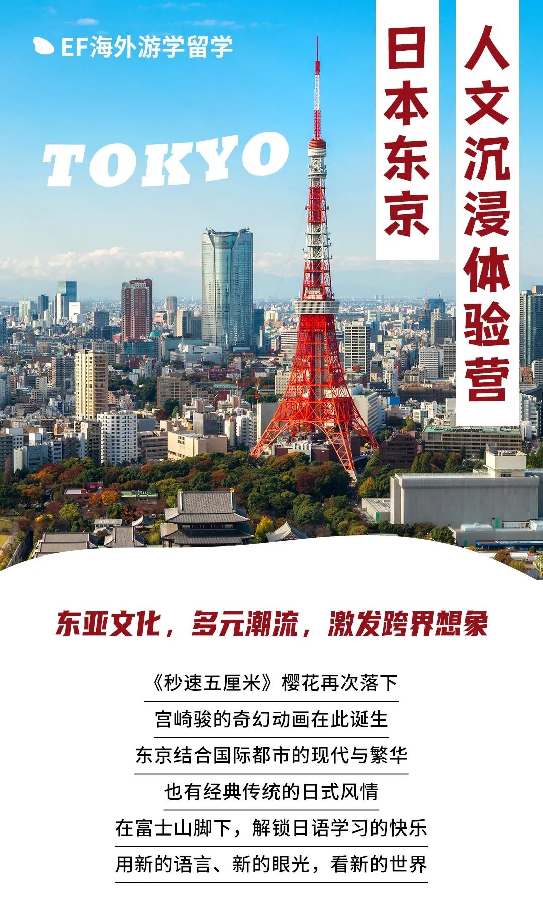 东京和风体验营 | 解锁 “殿堂级”日语学习，在樱花之国邂逅日式浪漫