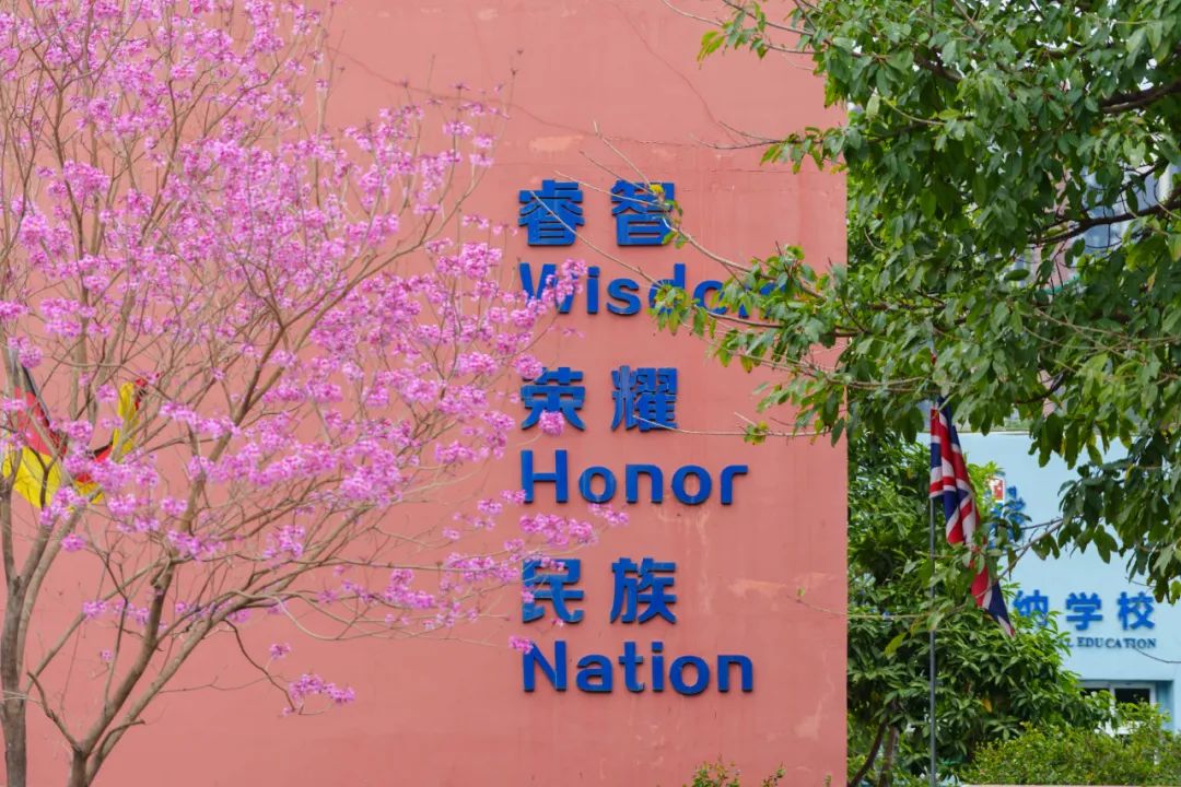 博纳HKDSE正式开启：圆梦香港与世界名校！