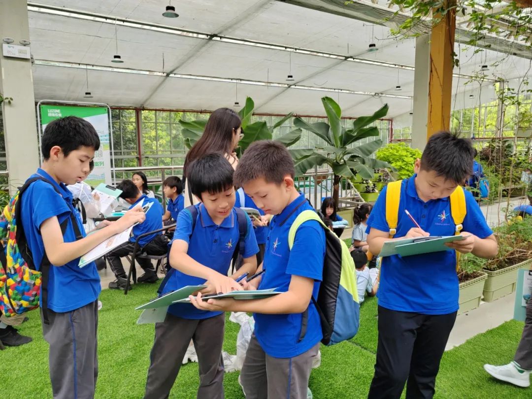 清澜小学生综合实践日：自然科技漫步