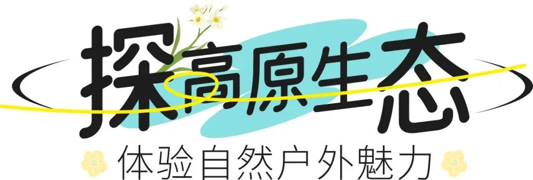 2024年夏季研学 ｜ G5+大美青海 清澜同行