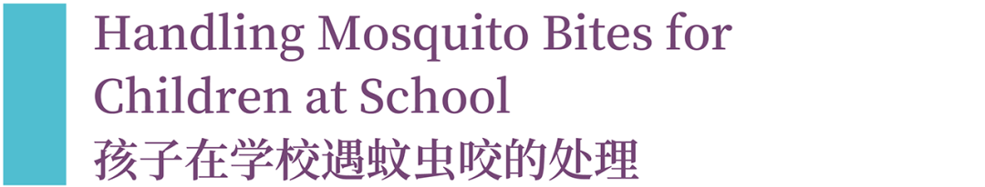 School Environmental Hygiene and Mosquito Prevention Program